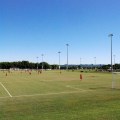 The Top Facilities for Sports Programs in Williamson County, Tennessee